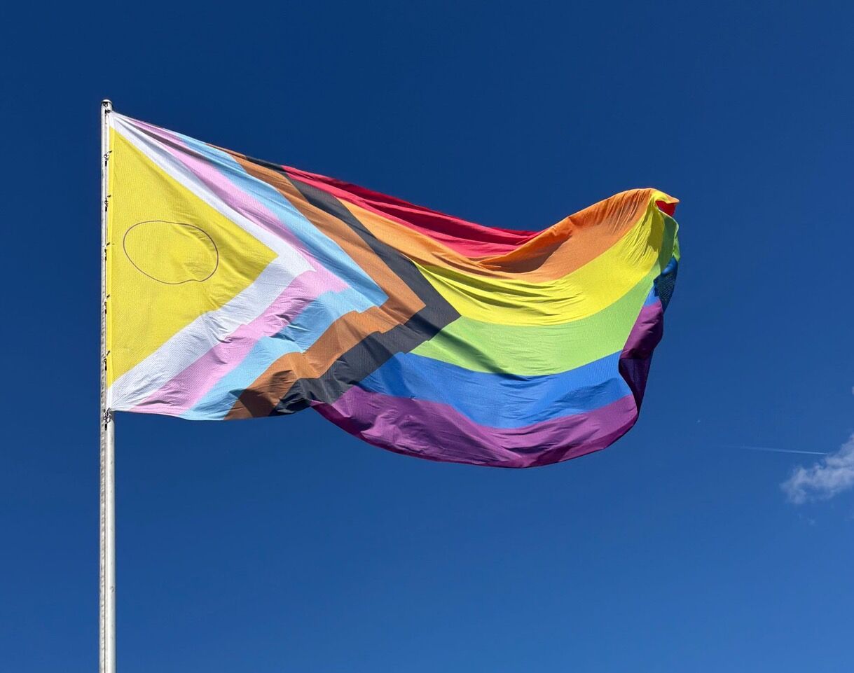 Bild der IDAHOBIT Flagge